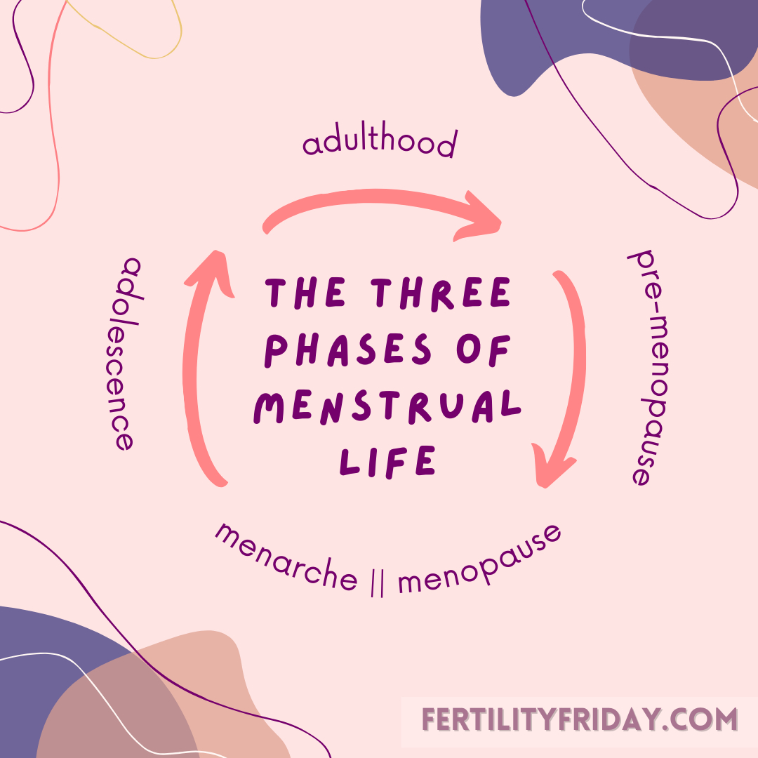 🩸The Three Phases of Menstrual Life 🩸​​​​​​​​
​​​​​​​​
1️⃣ Adolescence (post menarche)= first 3–5 years of your menstrual life. Cycles range from 21–45 days (average is 35 days) ​​​​​​​​
2️⃣ Adulthood = middle 20–25 years of your menstrual life. Cycles range from 24–35 days (average is 29 days) ​​​​​​​​
3️⃣ Pre-Menopause= approximately 10 years before your last period. Cycles range from 21–35 days (average is 26 days), but during the last 2 years cycles tend to get longer as you approach your last one.​​​​​​​​
🩸Menarche is your FIRST period & Menopause is your LAST period.​​​​​​​​
​​​​​​​​
One large scale study measured the menstrual cycles of 2,700 women, gathering data from over a quarter of a million menstrual cycles:​​​​​​​​
🩸 Although the average cycle of an adult woman lasts 29 days, there is significant variability between women and also across a woman's reproductive life​​​​​​​​
🩸 The first and last few years of a woman's menstrual life are the most variable in terms of cycle length​​​​​​​​
🩸There is no specific set age for these menstrual phases, but there is a clear pattern as women move from adolescence to adulthood, and into premenopause​​​​​​​​
🩸 Hopefully this data refutes the myth that women always have 28 day cycles once and for all!​​​​​​​​
​​​​​​​​
Now I want to hear from you! How long do your menstrual cycles typically last? Has it changed over time?​​​​​​​​
​​​​​​​​
📚 More in Chapter 4 of the Fifth Vital Sign: ‘What does a Health Menstrual Cycle look like’ 📚​​​​​​​​
​​​​​​​​
PMID: 5419031​​​​​​​​
​​​​​​​​
#menopause #premenopause #menarche #teenagegirls #FertilityFriday #birthcontrol #thepill #FertilityAwareness #TheFifthVitalSign #womenhelpingwomen #womensupportingwomen #menstruationmatters #hormones #pregnancy #fertility #fertilityawarenessmethod #postbirthcontrolsyndrome #mythsandfacts #womenshealth #periods #NFP #FAM #TheFifthVitalSignBook #periodsmatter #periodproblems #periodpain #advocacy