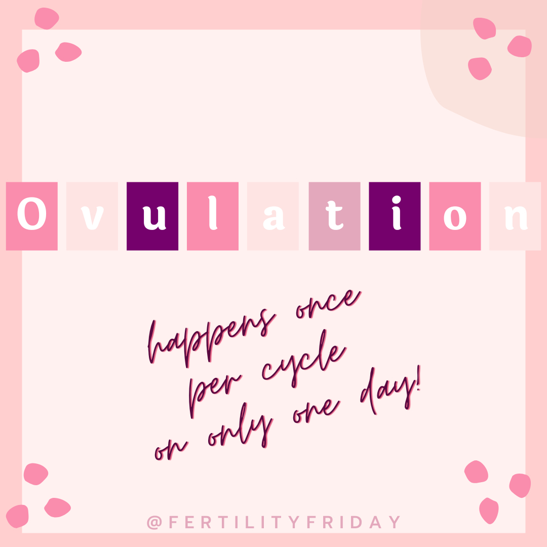 🤔 SPEAKING OF MYTHS 🤔 ....​​​​​​​​
​​​​​​​​
Did you know ovulation can only happen once per cycle? On only one day? ​​​​​​​​
​​​​​​​​
Ovulation is the culmination of a series of hormonal events during the first half of your menstrual cycle. ​​​​​​​​
📍As your ovarian follicles (eggs!) develop and grow they release estrogen, and the rise in estrogen eventually reaches a peak which then triggers ovulation. ​​​​​​​​
📍Peak estrogen levels trigger your pituitary gland to release luteinizing hormone (also known as the LH surge). The LH surge triggers ovulation by causing the follicle to rupture and release the egg.​​​​​​​​
📍Once the egg is released, it survives for only 12 to 24 hours if not fertilized.​​​​​​​​
​​​​​​​​
✨Since you have 2 ovaries, it's possible for both ovaries to go through this process simultaneously, preparing more than one egg for ovulation (fraternal twins anyone??). In that case, the LH surge would trigger ovulation of both ovaries within the same 12 to 24 hour period (releasing 2 eggs instead of one!).​​​​​​​​
​​​​​​​​
📍After the egg is released, a series of hormonal events prevent it from happening again for the rest of the cycle:​​​​​​​​
✅ progesterone inhibits ovulation for the rest of your cycle by inhibiting FSH (follicle stimulating hormone) and LH production​​​​​​​​
✅ progesterone stimulates your cervical crypts to form a thick mucus plug, thus preventing sperm from passing through your cervix for the rest of your cycle (they can't get in!)​​​​​​​​
​​​​​​​​
Our bodies are truly amazing! It's both humbling and endlessly fascinating (enter science nerds!! 🤓).​​​​​​​​
​​​​​​​​
If this topic interests you, have a listen to the podcast episode I devoted entirely to this topic: 🎧 fertilityfriday.com/269 🎧 ​​​​​​​​
And you'll find more in #thefifthvitalsign 📚​​​​​​​​
​​​​​​​​
Did you know ovulation only happens on one day of the cycle? Let us know in the comments below! 💬👇🏾​​​​​​​​
​​​​​​​​
#fertilityawareness #mythsandfacts
